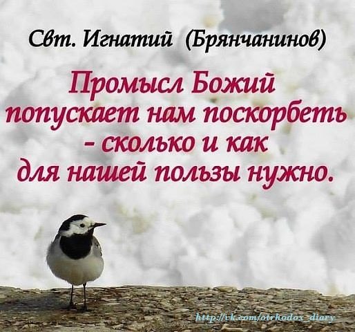 Святитель Игнатий (Брянчанинов), епископ Ставропольский и Кавказский.